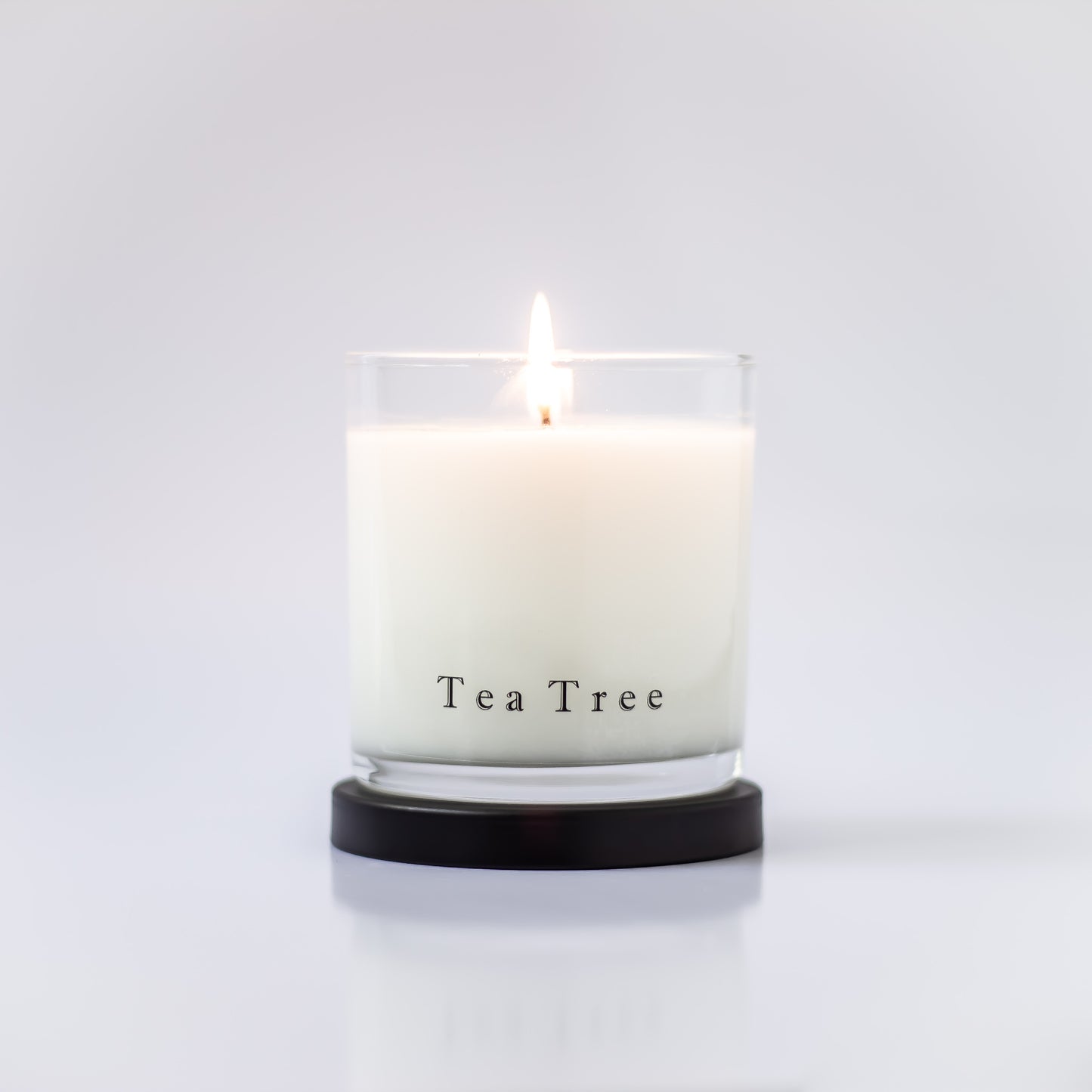 Tea Tree Candle - Chloe Noel & Co.
