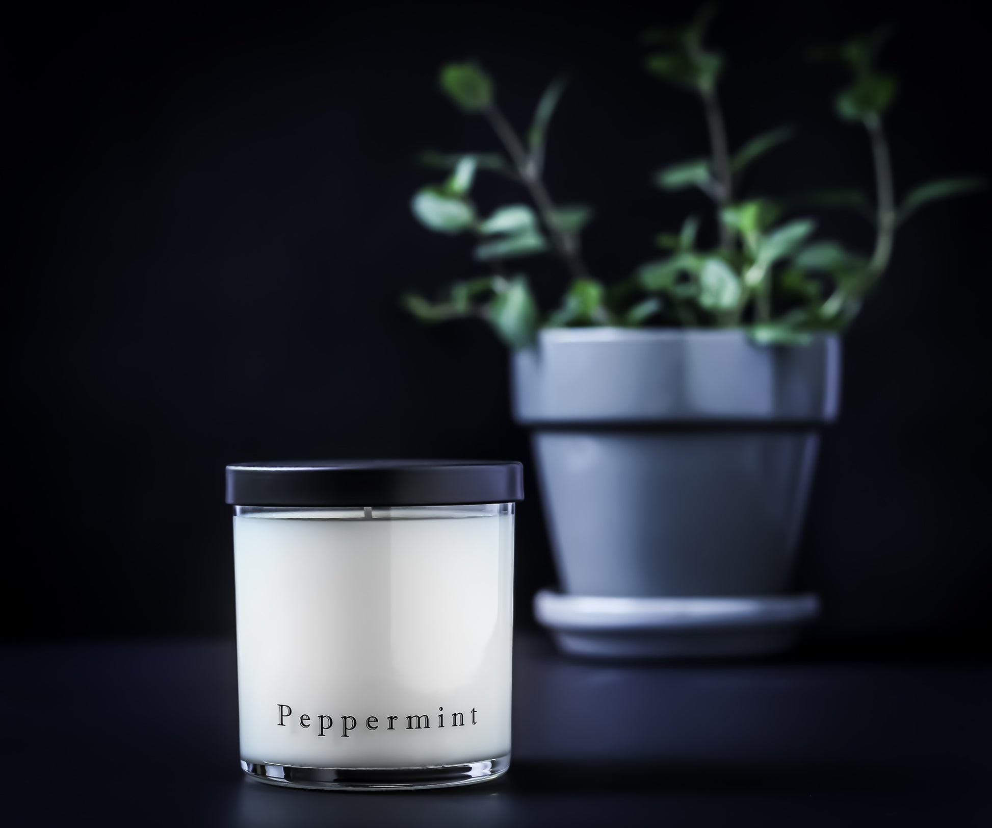 Peppermint Candle - Chloe Noel & Co.