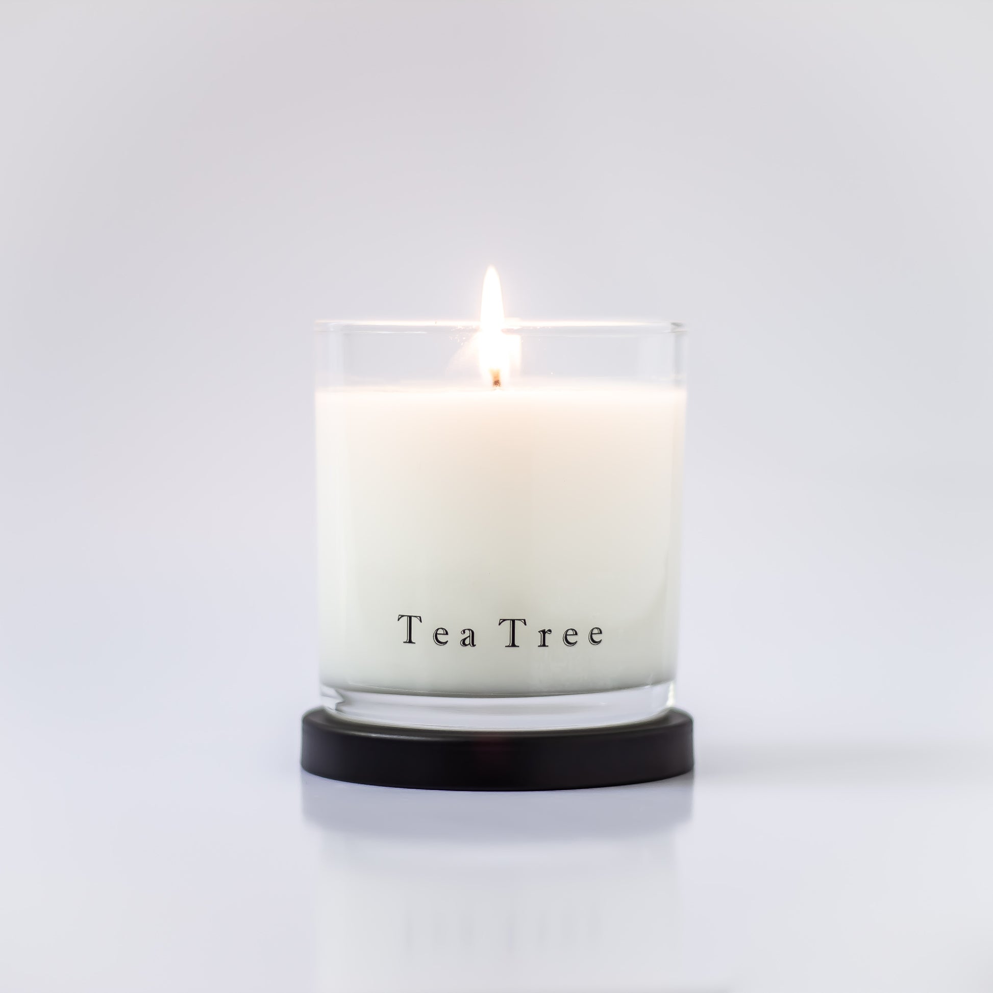 Tea Tree Candle - Chloe Noel & Co.