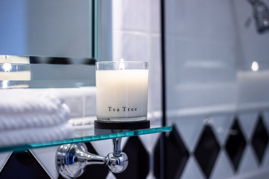 Tea Tree Candle - Chloe Noel & Co.